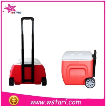 Customized fitness cooler lunch bag,wholesale insulated cooler bags,insulated cool bag