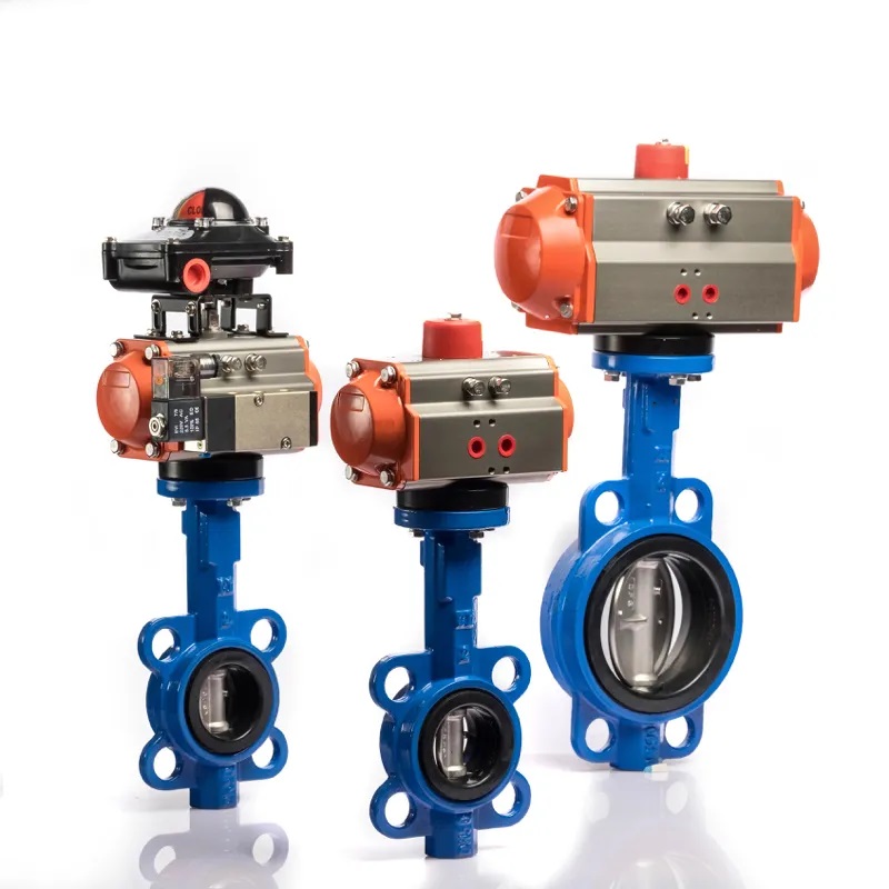 Double Acting Pneumatic Lug And Wafer Butterfly Valve