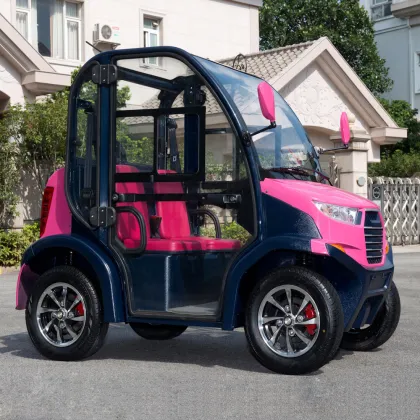 LVTONG 2 Seater Low Speed Electric Vehicle with Closed Doors