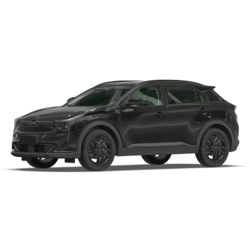 SUV EV a 5 posti Neta U a 5 porte di fabbricazione in Cina con portata di 401 km in vendita