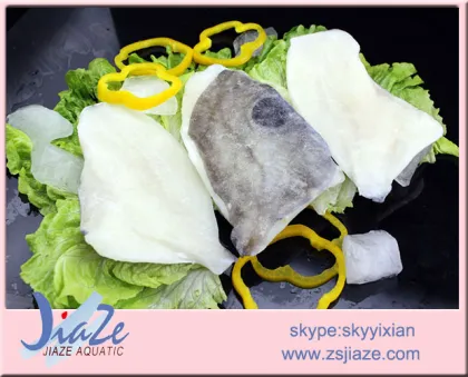 Frozen Fish John Dory fillet