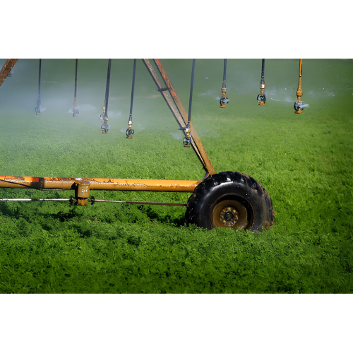 Premium-Grade Agricultural Fertilizer Ammonium Bicarbonate