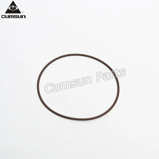 2863701 O-Ring seal M11 engine water pump parts