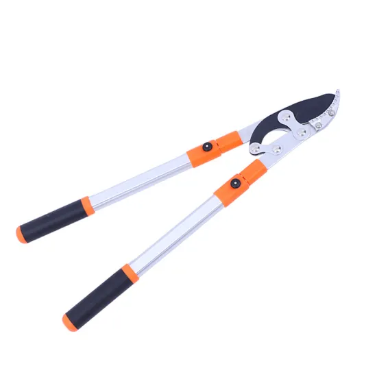 Professional Garden Shears for Branches and Flowers - Retractable Trimming Scissors