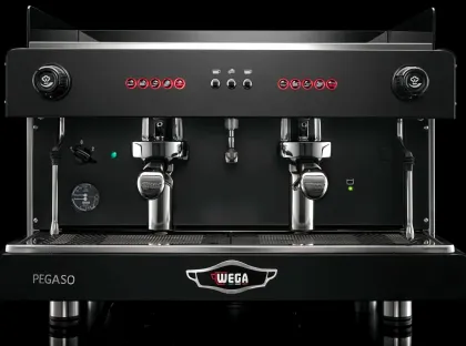 Wega Pegaso Picasso Double Head E61 Italian Semi-automatic Espresso Machine