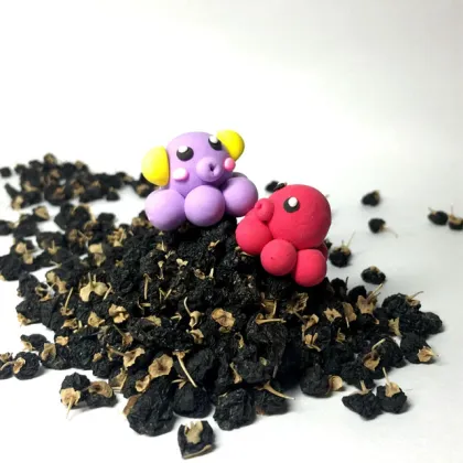 Sweet Taste King Of Anthocyanins Wild Organic Natural Black Goji Berries