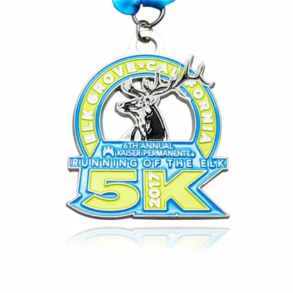 Custom Great Dublin Bike Ride Enamel Medal