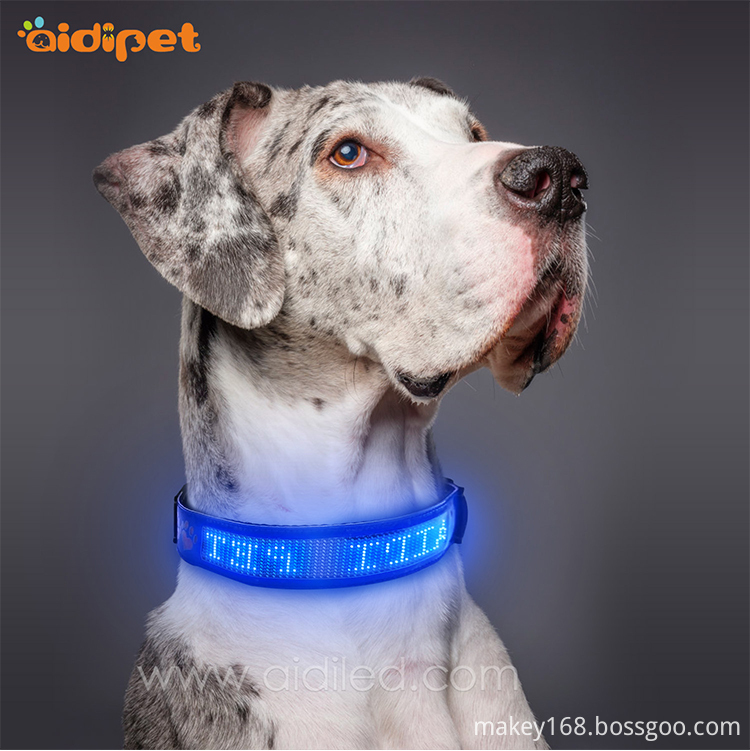 APP Controlled Flashing collar