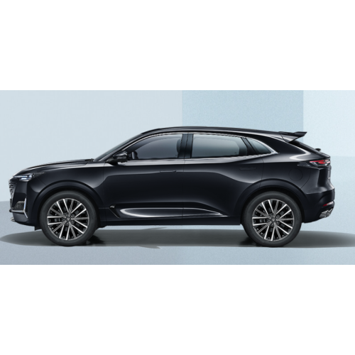 2024 Tangan Unik 2.0T Touring Upgrade