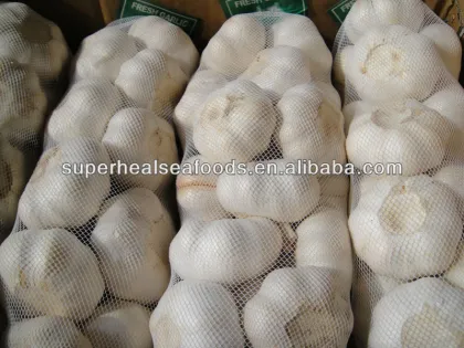 New Crop Fresh Garlic