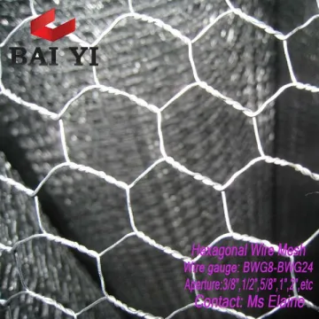 Stainless Steel Hexagonal Wire Mesh