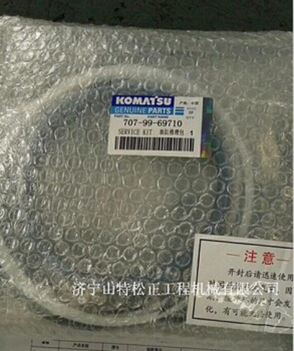 4252015730 Pack of OIL SEAL suitable for Komatsu