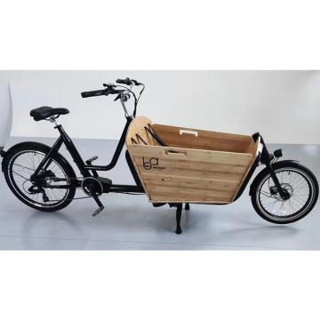 20-inch hoog volume Lishui elektrische fiets met familievrachtcapaciteit: nieuwste 2022-model