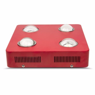 Panda aydınlatma fabrikası büyümeye yeni ürünler bridgelux ve vatandaş led cob ile ışıklar büyümeye yol açtı