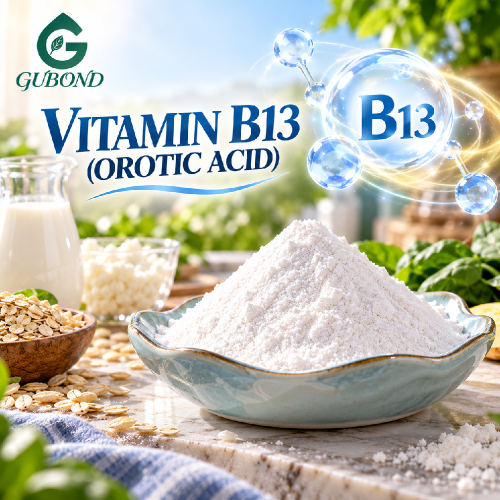 Pó de ácido orótico para formulações nutricionais especiais