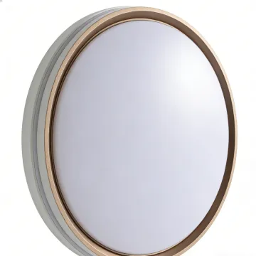 LED ceiling light with even brightness