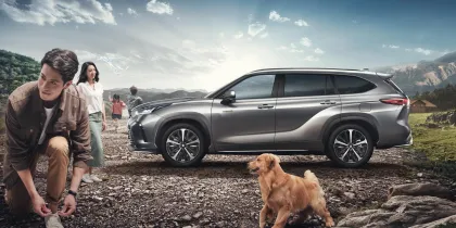 2022 Ford Focus Used Cars: Affordable Gasoline Vehicles