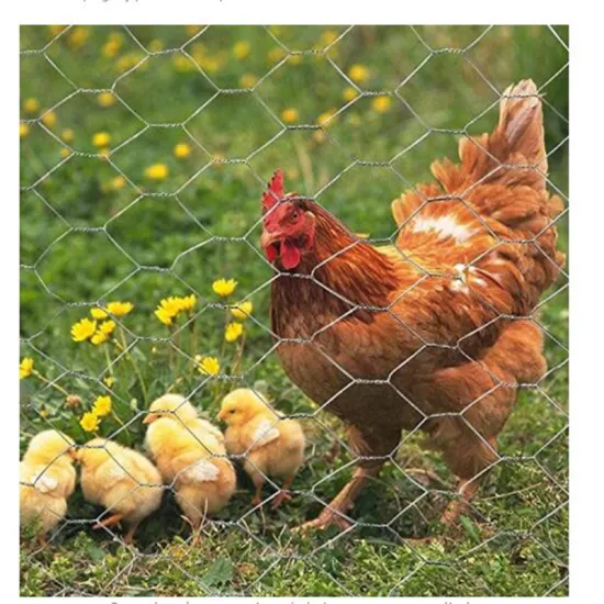 Hot Sale Hexagonal Hot Dip Galvanized Iron Wire Mesh