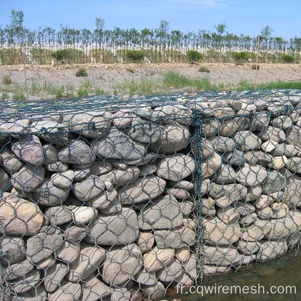 Boîte à gabion galvanisée en revêtement en PVC bon marché