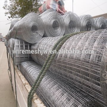 New Product Bright Galvanized Welded Wire Mesh Netting