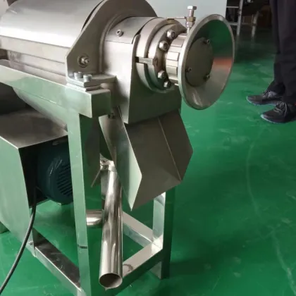 1 KW Commercial Cashew Juice Extractor: Cold Pressed Carrot Aloe Vera Juice Making Machine