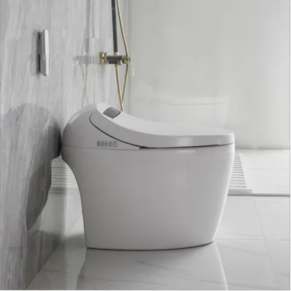 Smart Bidet Toilet Seat