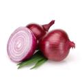 High Quality 2020 New Crop Fresh Onion
