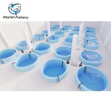 Customized Ras Shrimp Farming: Recirculating Aquaculture Systems (RAS)