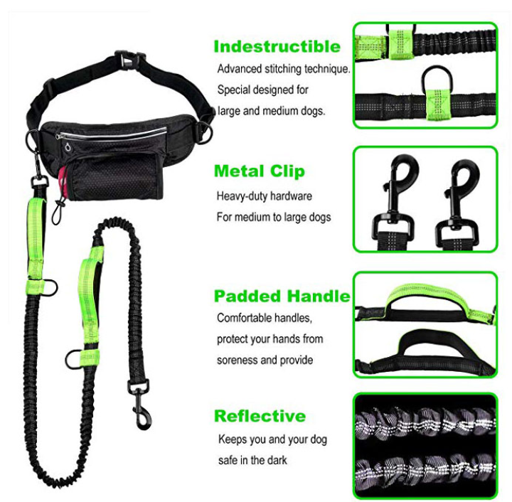 Double Handle Dog Leash