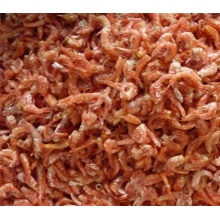 Wyszukiwarka mrożonej głowicy z suchych krewetek