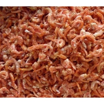 Motore di ricerca per gamberi secchi surgelati