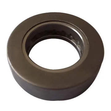 Thrust Roller Bearing for All Sizes