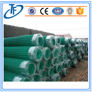 welded wire mesh panel/plastic coated holland wire