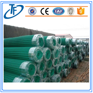 pano de fio revestido do pvc holland / cerca euro galvanizada