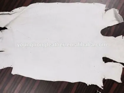 RAW LIZARD SKIN LEATHER