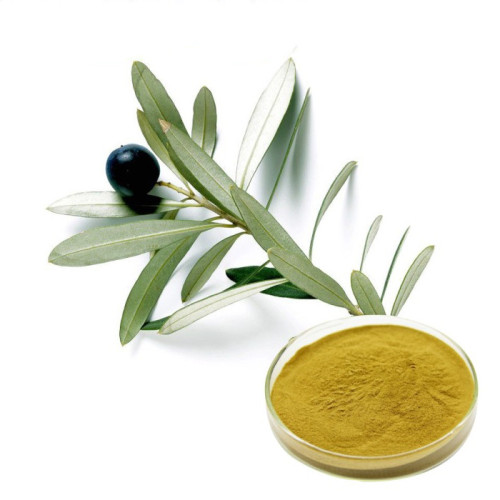 Natural Olive Leaf Extract Powder