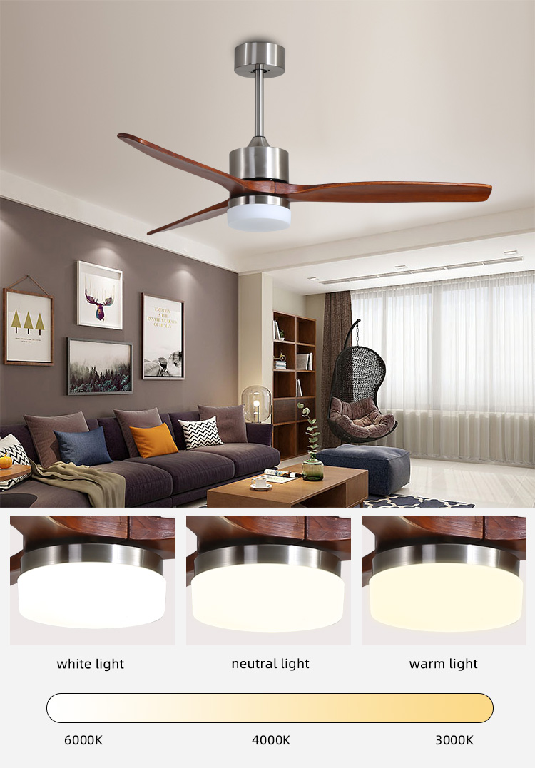 Modern Ceiling Fan With LED Light