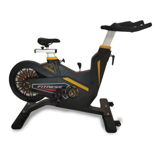 Stationary Bike Magnetic Control Rear Flywheel