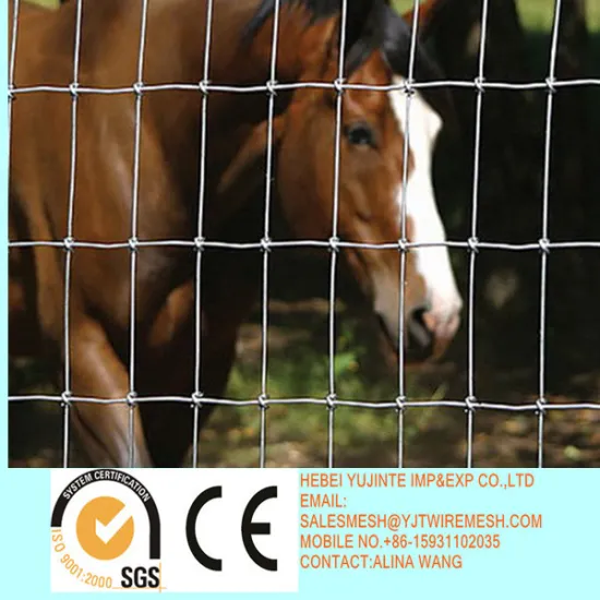 Galvanized Grassland Fence