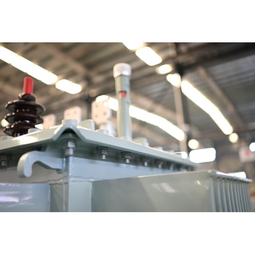 Trasformatore di distribuzione S13-M-63 20KV