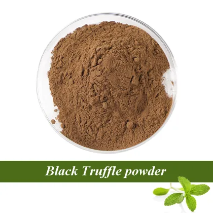 Black Truffle powder wholesale