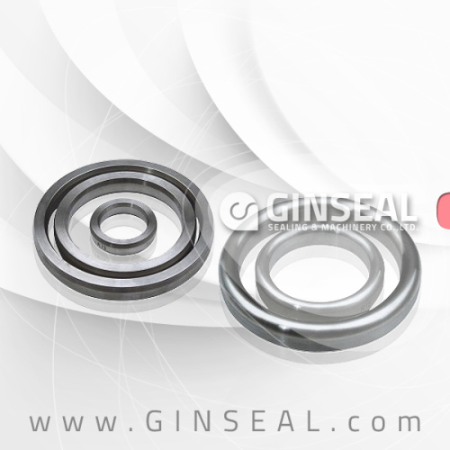 Ginseal Ring Joint Gasket