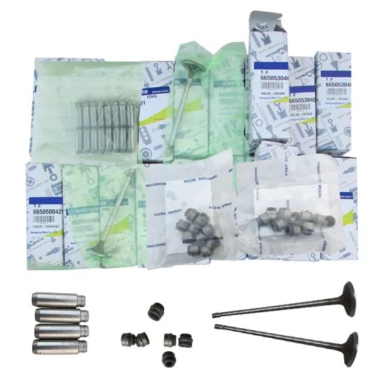 Ssangyong Vehicle Engine Components: Intake and Exhaust Valves, Valve Stem Oil Seals for Various Models