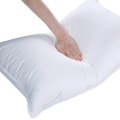 /msite/products/detail/productid/62271781/id/1337126.html