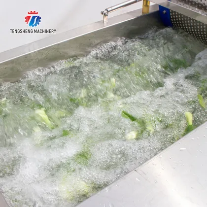Vegetable Bubble Washing Machine Continuous Type