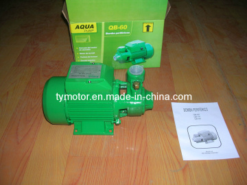 Qb60 Vortex Water Pump 0.5HP Garden Pump Electric
