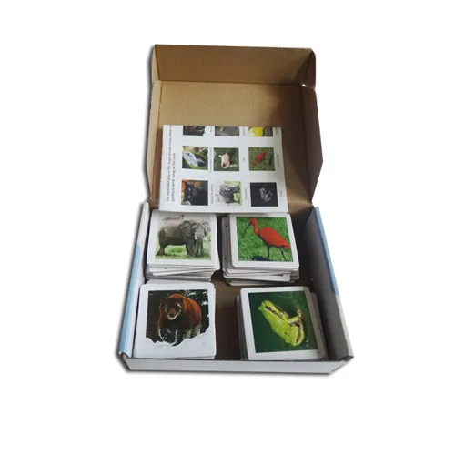 Custom Print Animal Memory Card Game