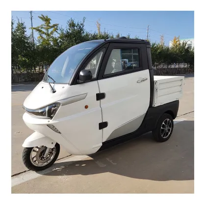 YouYou Electric Cargo Car - New Energy Van Vehicle