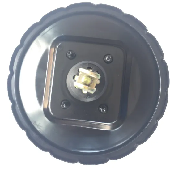 High Quality Hot Selling Auto Parts Vacuum Booster 9+10