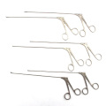 Endoscope rigide